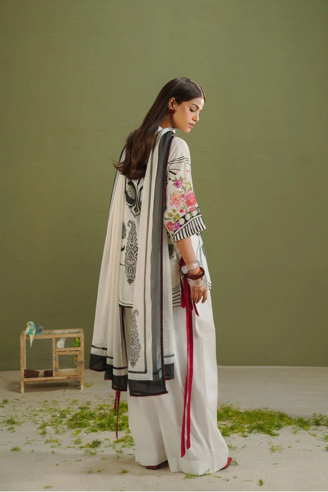 COCO RAYA-10A